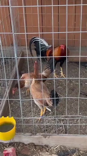 5k sweater trio for educational purposes only