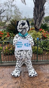 Today is the last day to VOTE SDCCU in the 2023 San Diego’s BEST Union-Tribune Reader’s Poll! Cast your vote at sdccu.com/vote. Federally insured by NCUA. #SDbest #creditunion #sandiegobest #sdutbest | San Diego County Credit Union