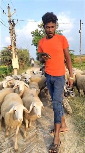 देखो भाई इस भाई के पीछे कितना भेद आ गया एक सेकंड में #funny #hillarea