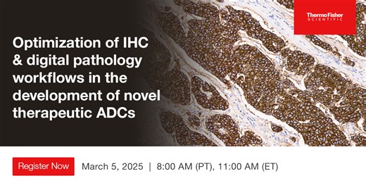 Optimization of IHC & digital pathology workflows in the development of novel therapeutic ADCs
