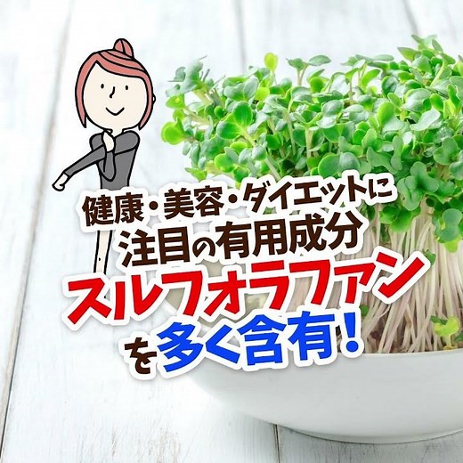 Grow them with just water! Broccoli sprout seeds #Kokkaen #BroccoliSprouts #HomeGardening
