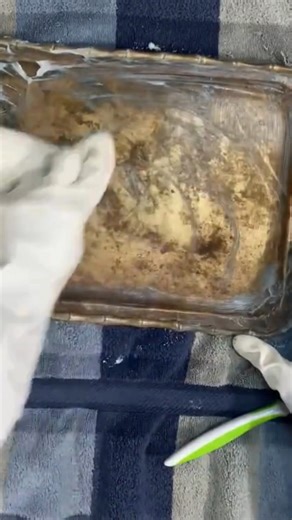 Say goodbye to harsh chemicals! Restore your brass naturally and effortlessly. #NaturalCleaningHacks #BrassCareDIY #EasyCleaningTips #GreenCleaningHacks #HomeShine #DIYPolish #ChemicalFreeHome #SustainableHome #CleanTips #sparklingbrass | Home & Garden Genius