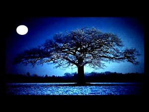 Abraham - When others around you are negative, just hang up!