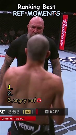 Ranking Best referees moments