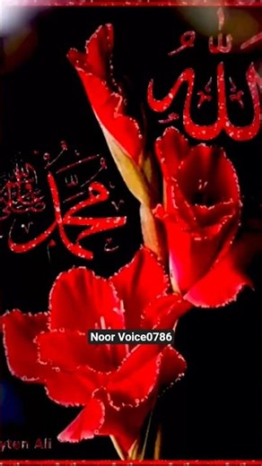 ya Allah ya Mula tere rehmo karam | urdu naatshareef | #trending #shortfeed #viral #short#shorts