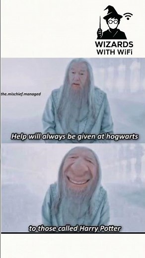 Harry Potter funny memes Dumbledore #harrypotter #potterhead #memes #funny