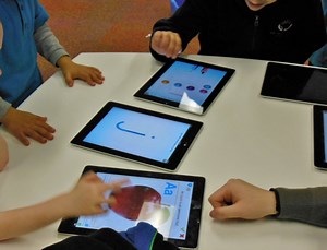 Learning from others locally and globally