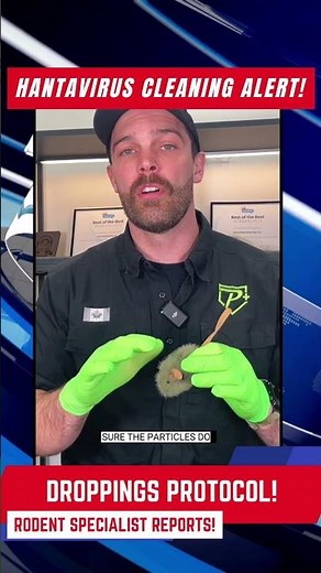 🛑 STOP! Don't touch those mouse droppings until you watch this! 🐭