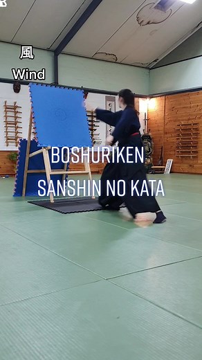 Practising the different elemental forms of the sanshin no kata (三心の型) #bujinkan #bujinkanaustralia #ninjutsu #boshuriken #sanshin #kata #hiddenblade