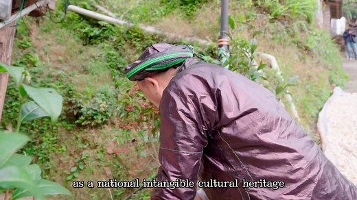 437K views · 2.4K reactions | In traditional Chinese #medicine in addition to the medicine of Han nationality medicine of ethnic minorities is also a very important part. #Guizhou, as one of the main gathering places for ethnic minorities in China preserved many ethnic medical cultures. #Civilization #TouchingCivilization #AsianYouth #AsianYouthCreatorConference | Youth China | Facebook