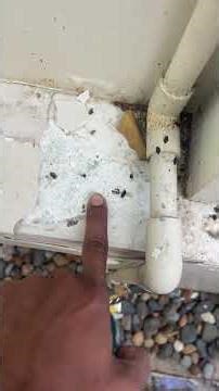 Common Painting Issues and Practical Solutions in Construction Works