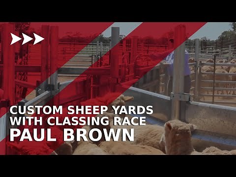 Custom Sheep Yards with Classing Race - Paul Brown