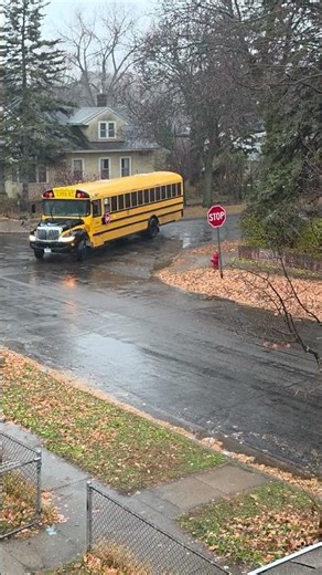 Alone Kid Gets off School Bus Coming Back Home