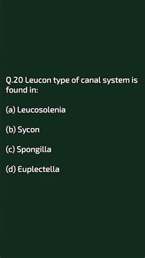 Biology/ Zoology/Botany/ Porifera Classification/#uppscltgrade #tgtpgtcutoff #zoology #porifera