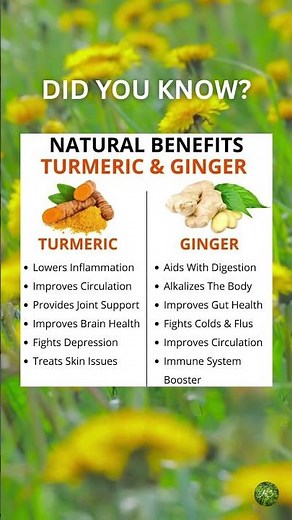 Benefits of Turmeric & Ginger