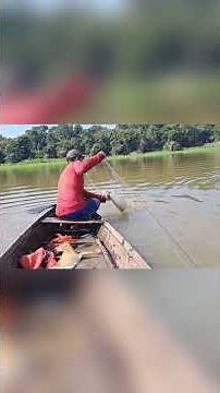 The Real Amazon: Country Life, Harvest, and Amazonian Culture