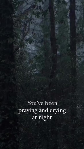 30K views · 795 reactions | HOLY BIBLE on Reels | Facebook