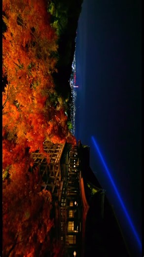 youpv on Instagram: "清水寺ライトアップ 誰もいない清水の舞台と真っ赤な紅葉。 素敵な風景に魅了されるばかりでした。"