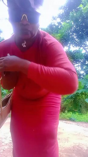 Walking in Nature: A Journey Through Lush Greenery