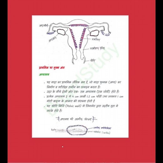 biology notes📝 chapter 2 #HumanReproduction #Class12Biology #BiologyRevision