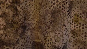 10K views · 19 reactions | Registrations for the 2019 MYER Fashions on the Field Men’s and Women’s race wear competition are still open but only until 5pm Wednesday 30th October. Need inspiration on what to wear? Our VRC stylist Elliot Garnaut and VRC ambassador Tegan Martin showed us how easy it is to put together a full outfit in store at MYER Melbourne. Register now via the link below! https://www.flemington.com.au/fotf/men | Flemington Racecourse and Victoria Racing Club | Facebook