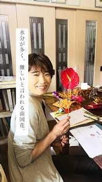 南国の押し花の作り方 #若林佳子 #押し花教室 #押し花 作りください