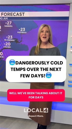 HOLY COLD🥶It’s going to be VERY cold the next few days, and we’re tracking it to make sure you stay safe and warm. Download the 4WARN Weather App to stay up to date on the cold temps and potential snow! | WDIV Local 4 / ClickOnDetroit
