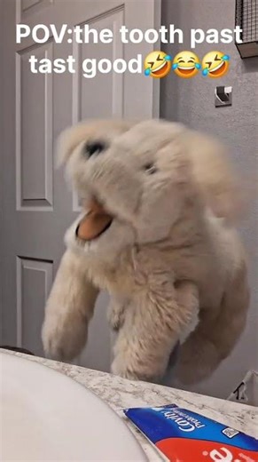 POV:the toothpast taste good