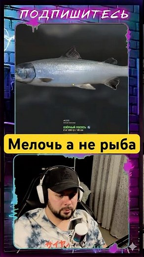 Рыба у берега #fisheronline #shorts