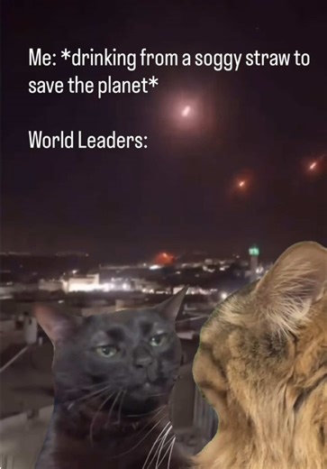 Save the Planet: The Straw Dilemma