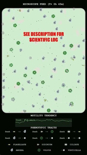 Kinetic Analysis of Didinium Swarming and Velocity Surges
