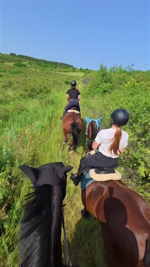 First Canter in the Field: Equestrian Experience