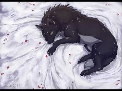 Anime Wolves- Comatose