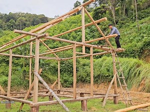 20K views · 260 reactions | Building My New Big Log Cabin In The Wilderness Building ROOF Structure for Log Cabin | Unique Idea | Facebook