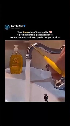 The Predictive Processing Effect🤯