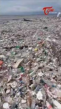 Marine Pollution Explained | Causes, Effects & Solutions #Environment #gk