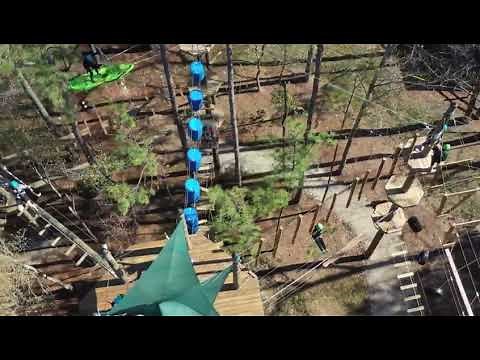 Texas TreeVentures | Aerial Adventure Course in The Woodlands, TX