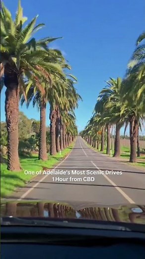 Adelaide most scenic drive