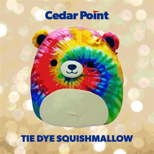 5K views · 64 reactions | They're cute and cuddly and make the BEST gifts!  Shop our exclusive Squishmallow and ride plush collections in our Online Shop.  https://bit.ly/47UBuGY | Cedar Point | Facebook