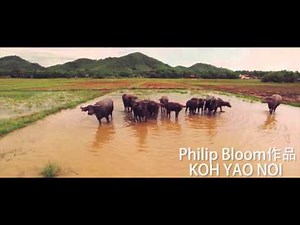 Premiere教程（3）： 航拍与无序视频的剪辑