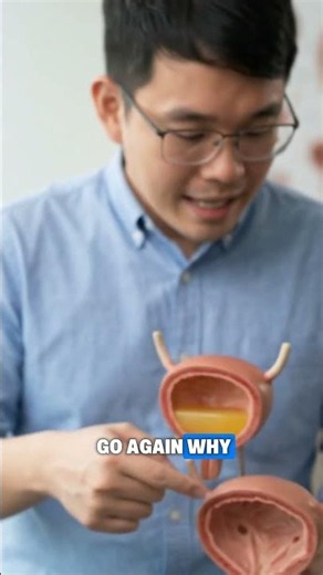 Why Do You Always Feel the Need to Pee? The Science of the "Constant Urge"! 🚽🩺