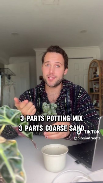 Cacti Care: Perfect Soil Mix for Healthy Growth