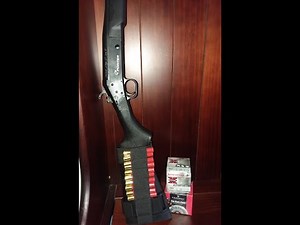 LSI Pointer .410 Ga Shotgun (Overview)