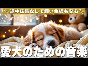 犬が落ち着く音楽 (12時間広告なし) 🐶 犬が好きな音楽 | 愛犬のストレス解消 / vol.791