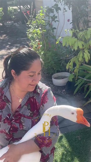 Spring break con primas y pamfilo 🫶🏽😘