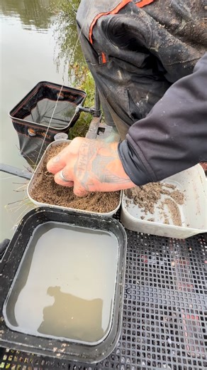 Mix up your Groundbait consistency. A sure way to keep fish coming throughout your session is to change the texture of your Groundbait. Creating a cloud is the ultimate fish attracting magnet. 🧲 Sweet Marine is a super versatile Groundbait, this allows you to keep tinkering with your mix. Have a separate mixing bowl on your tray and keep changing that Groundbait consistency to keep fish coming. #groundbait #sweetmarine #feeder #feederfishing | Mainline Match