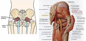 Sindrome del Piramidal | Tests y diagnósticos | Fisioterapia