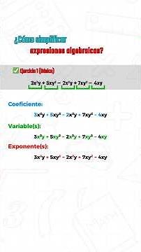 ✨ ¿Qué son los términos en una expresión algebraica? ✨- Invictus Club PAA #shots #términos #algebra
