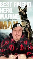 Max le roi des chiens sur Netflix #max