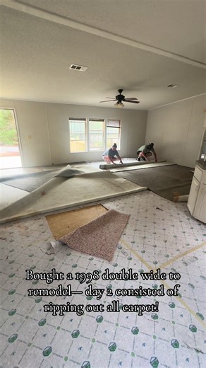 Mobile Home Remodel: Day 2 of Carpet Removal